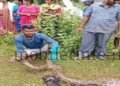 Dandeli That snake was a full 15 feet long!