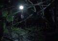 Dandeli Tree felling by mobile phone light!