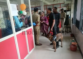 ದಾಂಡೇಲಿ | ಅಂಚೆ ಕಚೇರಿಗೆ ನುಗ್ಗಿದ ಪೊಲೀಸ್ ಶ್ವಾನ!