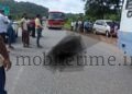 Kumta Elderly woman meant to visit relatives' home ends up at the cremation ground!