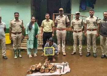 Sirsi A thief who cut down forest trees... and a fool who got caught!