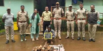 Sirsi A thief who cut down forest trees... and a fool who got caught!