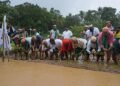 Sirsi Dignitaries step into the paddy field