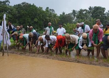 Sirsi Dignitaries step into the paddy field