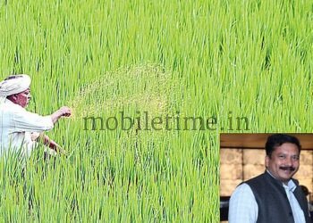 Sirsi Naati Habba Transplantation Festival) at Tudvimane
