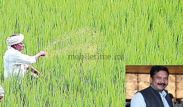 Sirsi Naati Habba Transplantation Festival) at Tudvimane