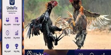 A cockfight held in the forest!