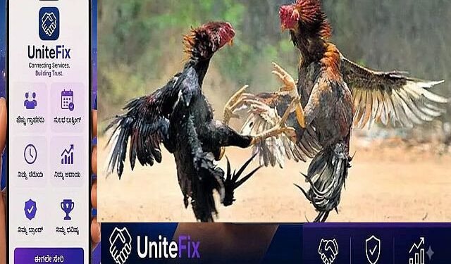 A cockfight held in the forest!