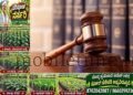 Disruption of court proceedings Karwar lawyer sentenced to one day in jail!