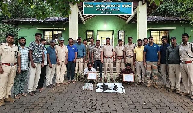 Father and son land in jail after catching a monitor lizard!