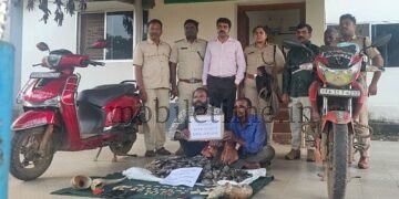 Imprisonment for the daring poachers!