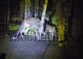 Leopard menace in KPC Colony!