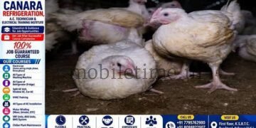 Poultry farm destroyed amidst border dispute!