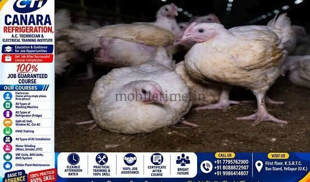 Poultry farm destroyed amidst border dispute!
