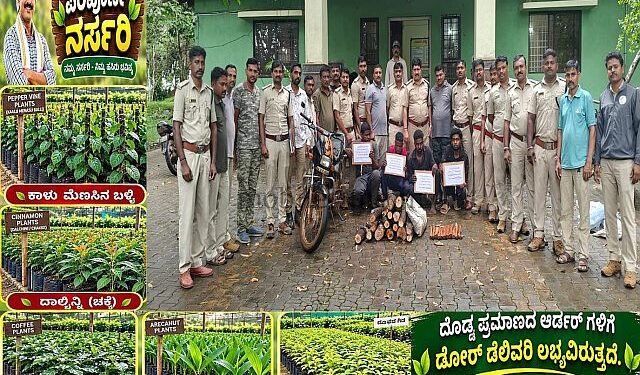 Sandalwood smuggler caught!