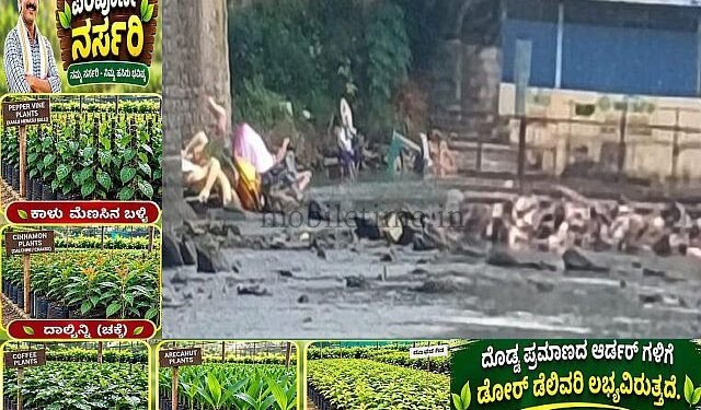 The Ganesha who does not dissolve in the Kali River!