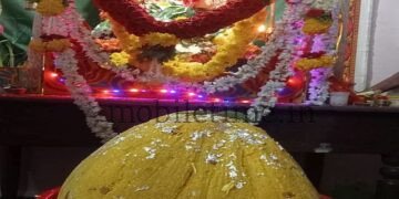 This laddu weighs 25 kg An offering of laddu for the lover of modaks!