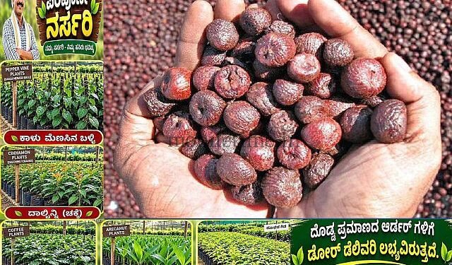 Three sacks of areca nuts vanish in four days!