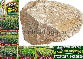 ಮತ್ತೆ ಕಲ್ಲು ತೂರಾಟ: ಇನ್ನೂ ಭಟ್ಕಳ ಬಿಡದ ಕಿಡಿಗೇಡಿ!
