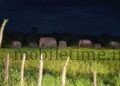 Farmer left reeling by elephant attack!