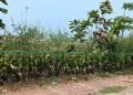 Karwar Children's Park Falls into Ruin!