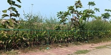 Karwar Children's Park Falls into Ruin!