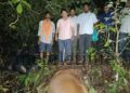 Kumta Seven cows die due to a thunderclap!