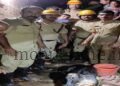 Siddapura Cow falls into well Rescued