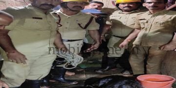 Siddapura Cow falls into well Rescued