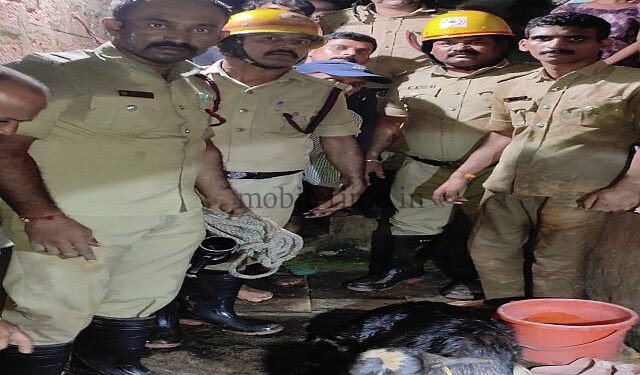 Siddapura Cow falls into well Rescued