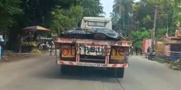 The Karwar-Kaiga road is dominated by heavily loaded lorries!