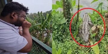 ದಾಂಡೇಲಿ | ಮೊಸಳೆ ಜೊತೆ ಮಾನವನ ಮಾತುಕಥೆ!